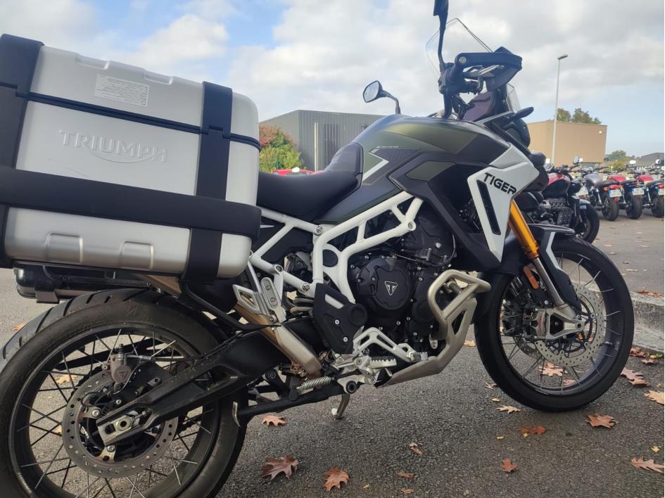 TRIUMPH TIGER 900 RALLY PRO