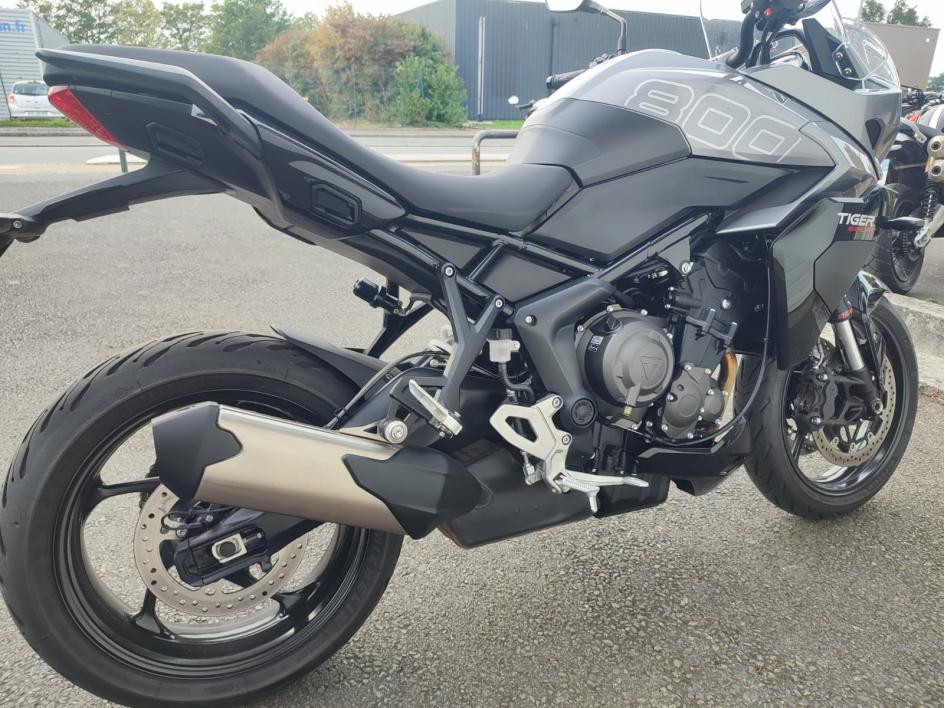 TRIUMPH TIGER 800