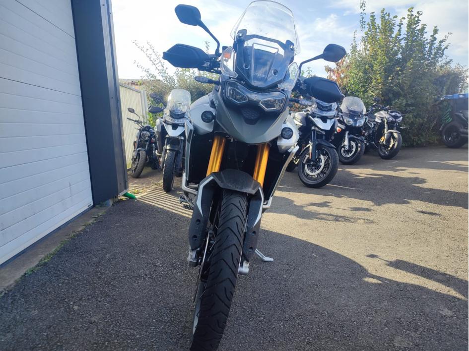TRIUMPH TIGER 900 RALLY PRO